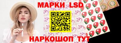PSILOCYBIN Гатчина