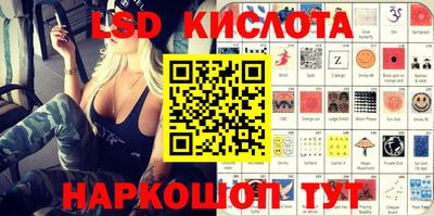PSILOCYBIN Гатчина
