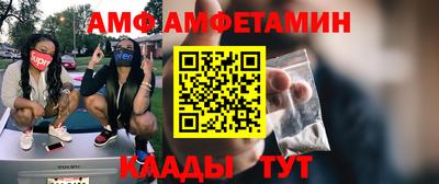 PSILOCYBIN Гатчина