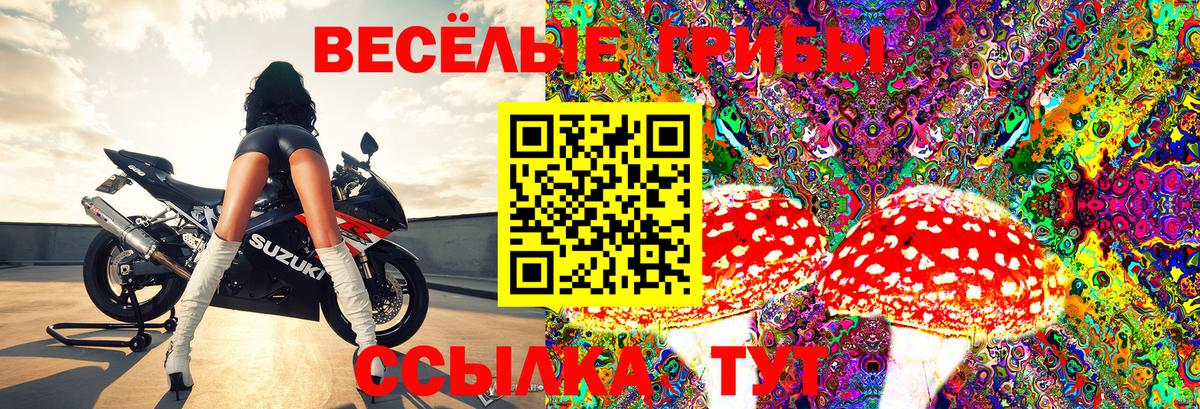 Псилоцибиновые грибы ЛСД  что такое наркотик  Канаш  Псилоцибиновые грибы GOLDEN TEACHER  Вход с VPN 
