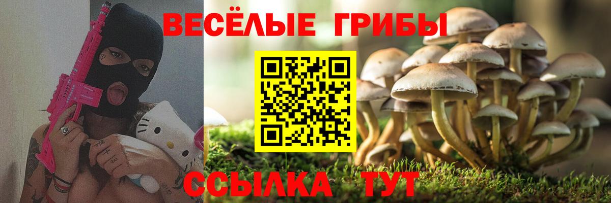 Псилоцибиновые грибы ЛСД Канаш